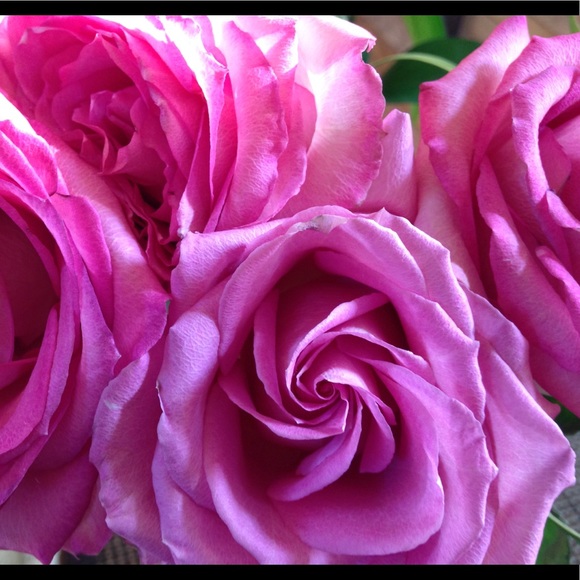 Meet your Posher, M - Picture 2 of 3